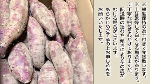 【 先行予約 2024年10月下旬以降発送 】訳あり 茨城 八千代町産 さつまいも 紅はるか 土付き 無選別 生芋 約 10kg 農家直送 熟成 べにはるか イモ  [AX034ya]