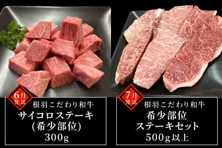 全7回★贅沢ステーキ定期便 定期便限定 赤身ステーキ入り ヒレステーキ ステーキ サイコロステーキ ロースステーキ サーロインステーキ 赤身ステーキ ザブトン トモサンカク ランプ イチボ ミスジ カ