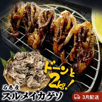 ふるさと納税 石巻市 【3月配送 】訳あり 石巻産スルメイカゲソ 2kg 冷凍 国産 いか 下足 おつまみ ゲソ天 おかず