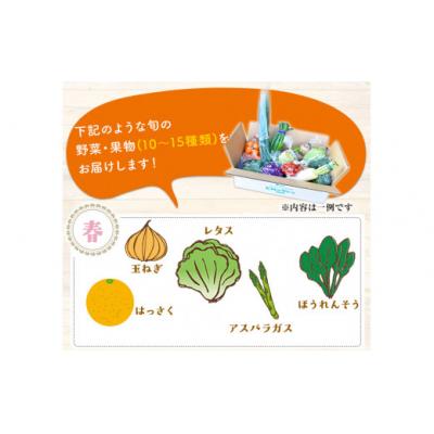 ふるさと納税 氷川町 【6ヶ月定期便】 旬の新鮮野菜・果物詰合せセット (計6回お届け)たっぷり10-15品目 |  | 01