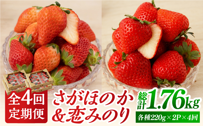 
【先行予約】【4回定期便】食べ比べ！恋みのり＆さがほのか 赤いちご 定期便【鐘ヶ江農園】 [IBH008]
