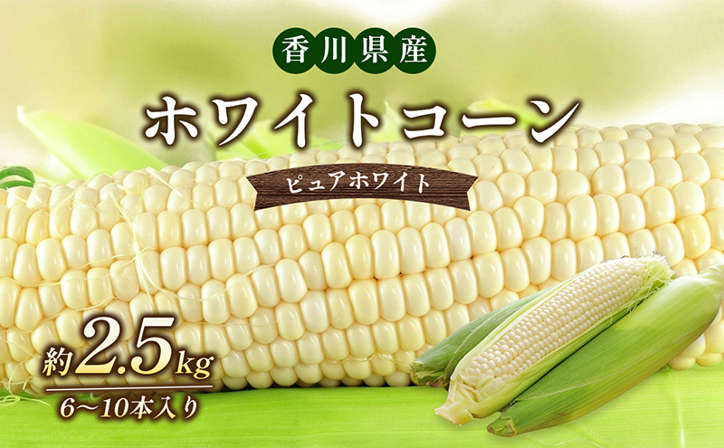 ホワイトコーン 約2.5kg 野菜 とうもろこし 野菜セット 