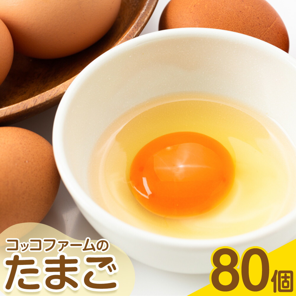 純国産鶏 コッコファーム の たまご 80個入 卵 玉子 鶏卵《90日以内に出荷予定(土日祝除く)》---043-2020---