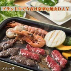 十勝鹿追産牛肉「とかち晴れ」焼肉用 350g【1530】