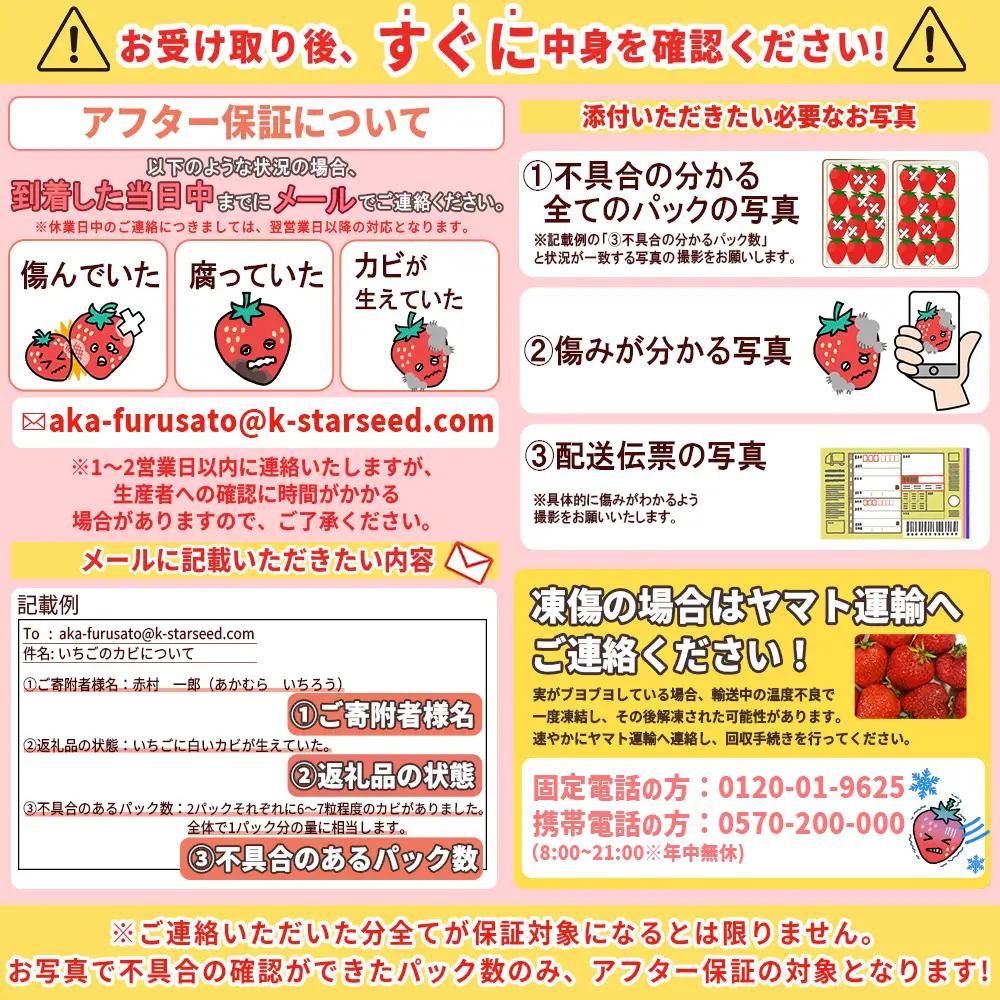 【先行予約／2027年出荷】福岡県産あまおう 約250～270g×4パック あまおう いちご 3W12