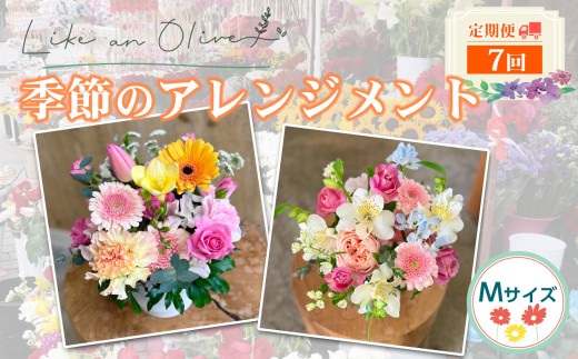【定期便】アレンジメント【M】（毎月定期便）　【選べる回数：7回】【フラワーアレンジメント アレンジメント 季節の花 生花 花 植物 ブーケ ギフト プレゼント インテリア お楽しみ 】