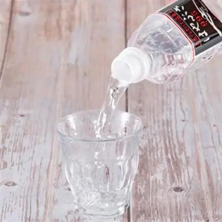 【毎月定期便】りょう泉はやぶさ　995〈500ml×24本〉全12回【4058674】