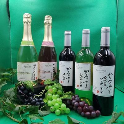 ふるさと納税 上山市 【定期便:全5回】サントネージュかみのやまシリーズ　0141-2420 |  | 01