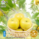 【ふるさと納税】【訳あり】生産者直送 シナノゴールド 約5kg（約10～20玉）《信州須坂後藤農園》■2024年発送■※10月下旬頃～12月中旬頃まで順次発送予定 果物 フルーツ 林檎 リンゴ りんご