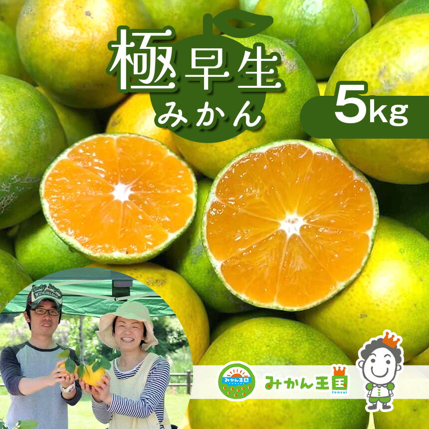 【ふるさと納税】みかん 果物 楽天限定 フルーツ 極早生みかん 5キロ箱 | 果物 くだもの フルーツ 柑橘 柑橘類 みかん 極早生 玉名 熊本 秋 旬 送料無料