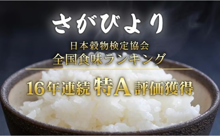 《最短(3～5営業日)発送》令和7年産 さがびより 佐賀県産（精米）10kg D-687-AS