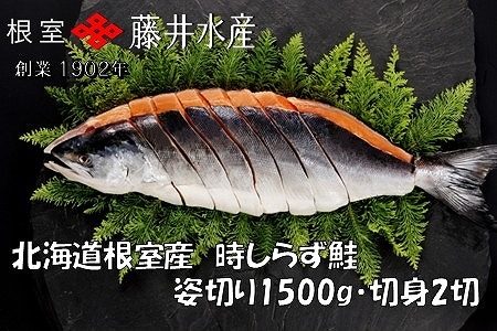 【12/31決済分まで1月中配送】 【北海道根室産】時しらず鮭切身1.5kg×1P・1切×2P F-42020