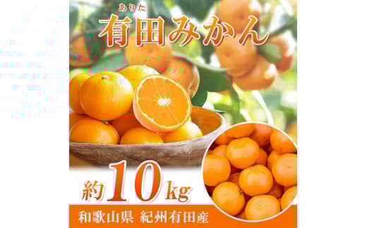 
            完熟有田みかん　10kg［2026年11月下旬以降発送］［先行予約］［UT11］
          