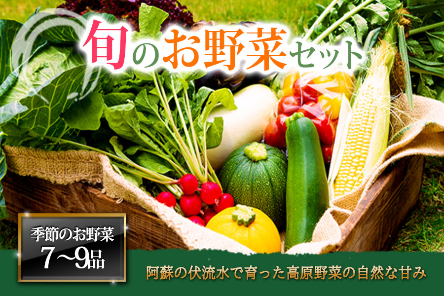 季節のお野菜セット Lサイズ 野菜 7〜9品 詰め合わせ 新鮮 減農薬 高原 旬 産地直送 採れたて 甘い 美味しい 人気 自然 安心 安全 父の日熊本 阿蘇
