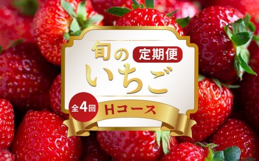 いちごの定期便 4回 Hコース 果物 フルーツ いちご 苺 さぬきひめ スイーツ デザート ケーキ ゼリー ジュース ジェラート アイス いちご大福 フルーツ大福 ジャム クレープ ショートケーキ タ