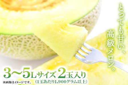 A-167 益田産アールスメロン（2玉入り）【秋作】