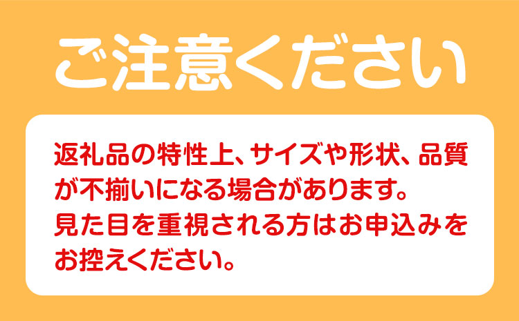 【先行予約】 ご家庭用 輝太郎柿 約3kg 岡崎ファーム《10月上旬-10月末頃出荷》鳥取県 八頭町 柿 かき カキ 輝太郎 果物 フルーツ