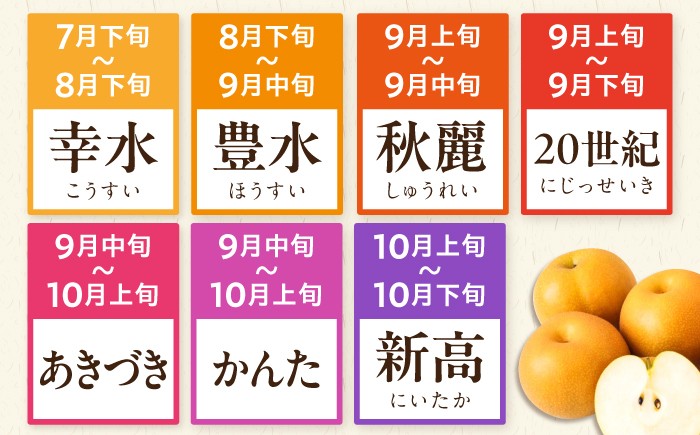 梨 ナシ なし フルーツ 果物