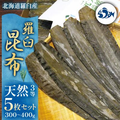 ふるさと納税 羅臼町 天然3等 羅臼昆布5枚セット(300〜400g)【北海道 知床 羅臼産】