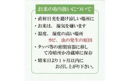 令和7年産 きぬむすめ5kg×2(精白米) 