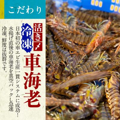 ふるさと納税 霧島市 活き〆冷凍車海老「薩摩隼人車海老」約125g(4〜6尾入)×3パック【MBC開発】　B-014 |  | 03