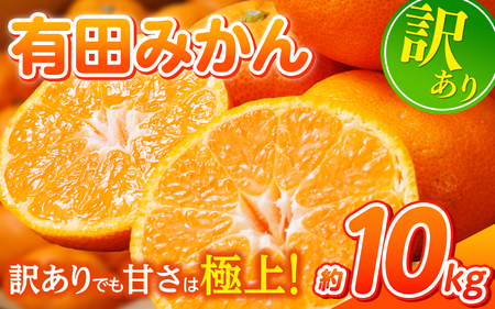 農家直送 有田 みかん 訳あり 10kg 光センサー 選別 / 温州みかん 有田みかん 甘い 家庭用 和歌山 柑橘 ※11月中旬～1月中旬に順次発送予定 ※北海道・沖縄・離島への配送不可 【nuk004-noka-c10C】 