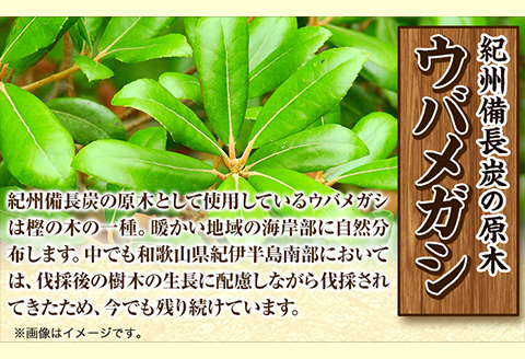 紀州備長炭半丸約15kg望商店《30日以内に出荷予定(土日祝除く)》備長炭紀州備長炭炭約15kg高級白炭---wshg_nzm7_30d_23_72000_15kg---