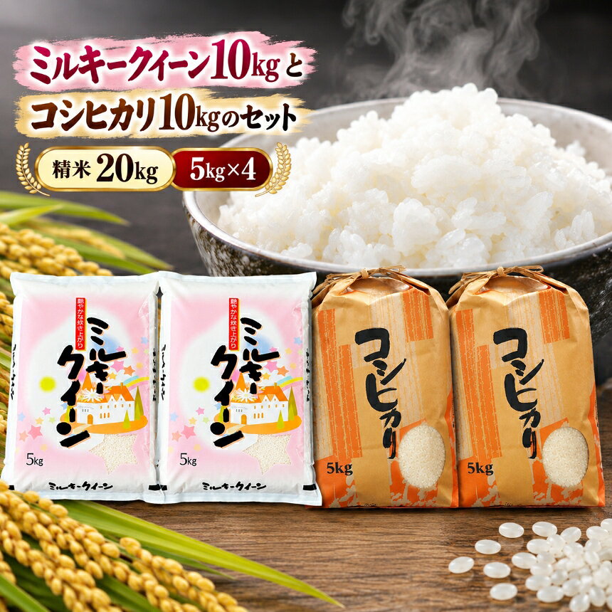 【ふるさと納税】人気のお米セット　ミルキークイーン10kgとコシヒカリ10kgのセット〈精米 20kg〉│国産米 ごはん 炊き立て こしひかり ほかほか お弁当 まとめ買い 農家直送 つやつや カレーライス 牛丼 お茶漬け 愛知県 武豊町│後藤農園