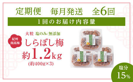 梅干し しらぼし梅 約1.2kg（約400g×3）塩のみ 無添加 大粒 紀州南高梅 塩分約15％ 和歌山県産 [ 定期便 毎月発送・全6回 ]