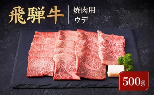 【1月配送】飛騨牛 焼肉用 ウデ 500g | 黒毛和牛 ブランド和牛 BBQ 肉料理 旨味 発送時期が選べる 高山米穀協業組合 FA007VC01