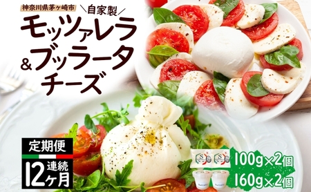 チーズ 12ヶ月 定期便 詰め合わせ 各2個 フレッシュ チーズ
