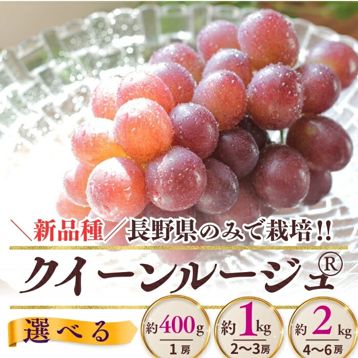 【ふるさと納税】【2026年先行予約】クイーンルージュ® 400g以上(1房) / 約1kg（2~3房）/ 約2kg（4~6房） | ぶどう 葡萄 ブドウ グレープ 赤ぶどう 種無し 種なし 皮ごと 果物 くだもの フルーツ 信州ぶどう 信州葡萄 産地直送 信州 長野 千曲市
