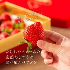 【出荷期間は1月～4月末】武下さんちの完熟あまおう3Lサイズ450g。赤いVIPボックスに入れて！