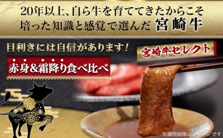 宮崎牛赤身＆霜降り【とろ旨カルビセット】550g_MJ-6519_(都城市) 牛肉 牛もも焼肉用(300g×1パック) 牛肩ロース焼肉用(250g×1パック) 合計550グラム 赤身肉 霜降り肉 ギフ