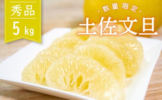【 先行予約 】 土佐文旦 秀品 5kg 高知県産 柑橘 フルーツ 文旦 ぶんたん ブンタン 分担 果物 みかん 文旦 産地直送 高知県 須崎 須崎市 KG008