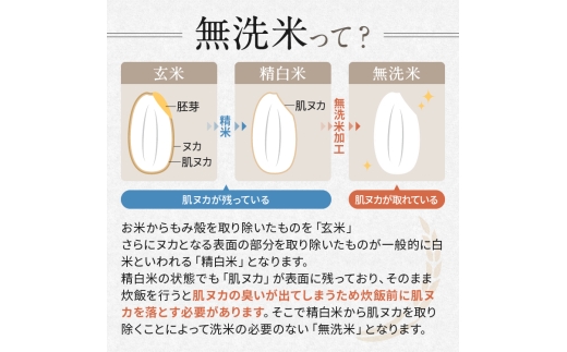 【令和7年度新米先行予約】栃木県産コシヒカリ 無洗米 5kg 定期便3回 【栃木県共通返礼品】| 定期便 お米 米 こめ 洗米 新米 無洗米 コシヒカリ こしひかり 美味しい お弁当 選べる ふるさと