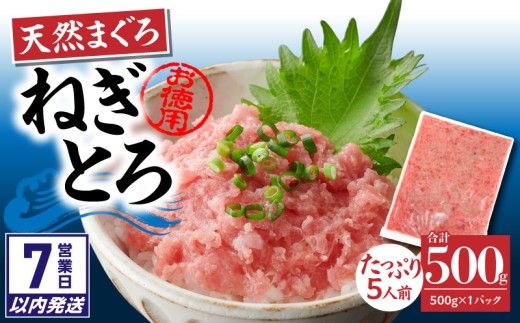 【7営業日以内に発送】【神奈川県漁連】＜お徳用＞天然まぐろ ねぎとろ 500g　M077-011-01-sp