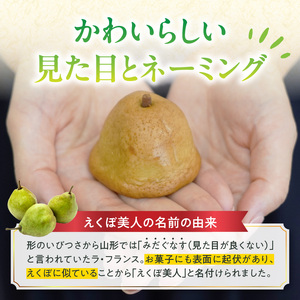 御菓子処蝶谷 ラ・フランス菓子えくぼ美人20ケ入・化粧箱 洋菓子 白あん ラフランス 果肉 お菓子 ギフト 贈答 菓子 プレゼント 007-006