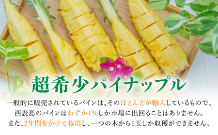 2024年 先行予約 スナックパイン 約3kg 3～5個入 ☆『ちぎる派！？切る派！？』☆ 