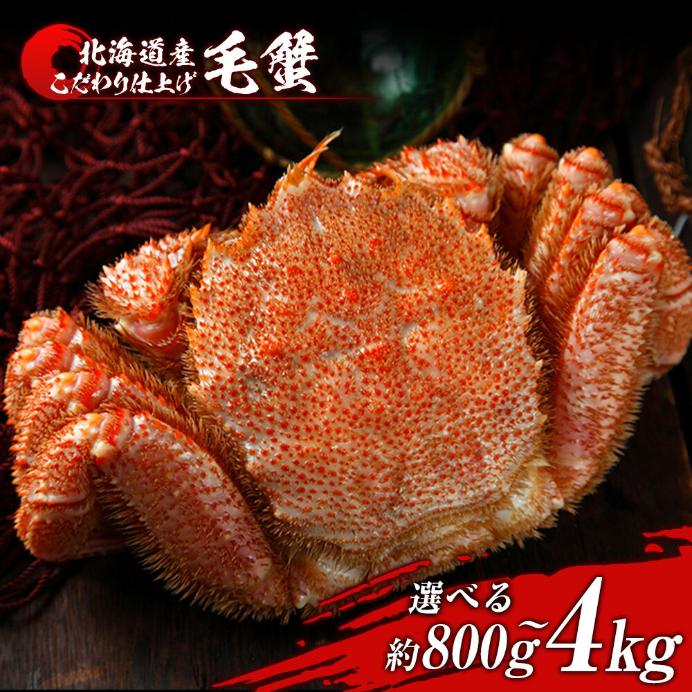 【ふるさと納税】毛蟹 ボイル済み 冷凍 選べる1尾～5尾セット 1尾約800g BM284ボイル 毛がに 毛ガニ 毛蟹 ボイル 蟹 カニ 北海道ふるさと納税 白老 ふるさと納税 北海道 年末