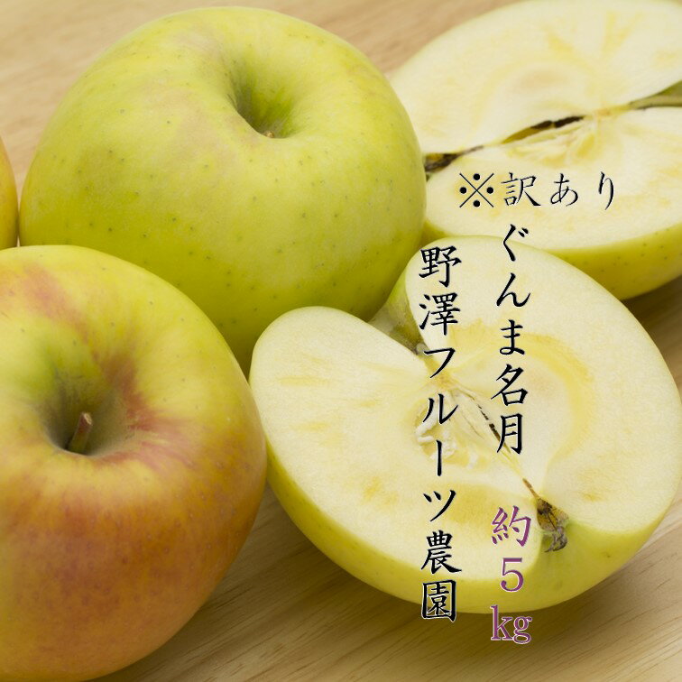 【ふるさと納税】 398 先行予約 ※訳あり りんご 名月 5kg11月中下旬以降発送【野澤フルーツ農園】