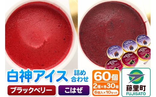 白神アイス詰合せ 合計60個 6個入×10セット ブラックベリー×30個 こはぜ×30個