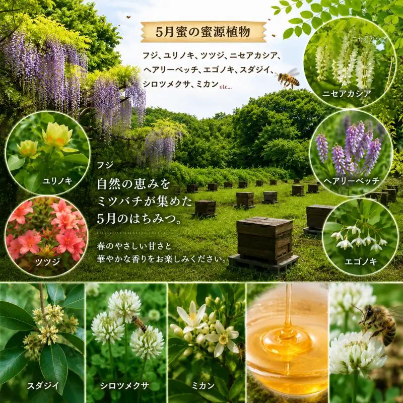 はちみつ 百花蜜 5月蜜 300g×1本 非加熱 産地直送 国産 一期一会 はちみつ 鹿嶋市