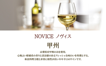 白ワイン NOVICEノヴィス 甲州 720ml×6本 フルボトル 日川中央葡萄酒 山梨県 笛吹市 177-7-30