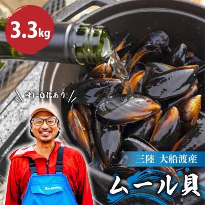 ふるさと納税 大船渡市 先行予約 国産 活ムール貝 3.3kg [nakano010]