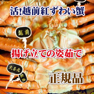 ふるさと納税 越前町 活! 越前 紅ずわいがに × 1杯 旨味満点!! ≪浜茹で≫【2・3月発送分】 |  | 01