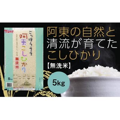 ふるさと納税 山口市 阿東こしひかり(無洗米5キログラム) D514