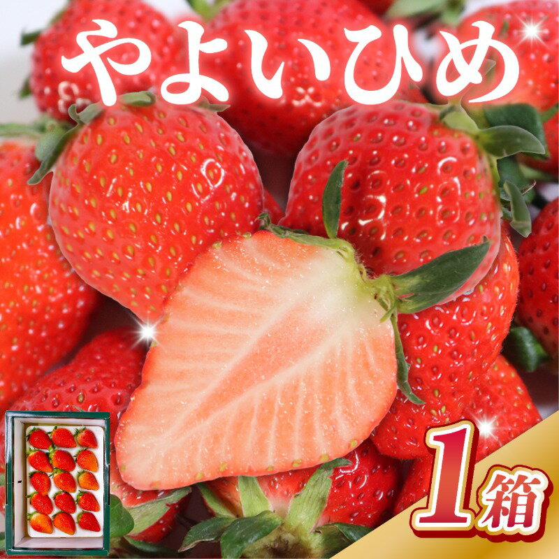 【ふるさと納税】 先行予約 贈答用 いちご やよいひめ 1箱 約400g 化粧箱 いちご イチゴ 苺 人気 定番 食べやすい 果物 フルーツ ストロベリー ジャム 朝摘み 採れたて 新鮮 産直 安心安全 期間限定 送料無料 松岸 神原いちご園 千葉県 銚子市