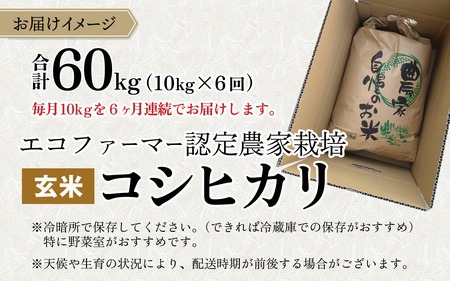 【令和7年産】【6ヶ月定期便】越前大野産 エコファーマー認定農家栽培 こしひかり 玄米 10kg × 6回 計60kg [L-001001_02]