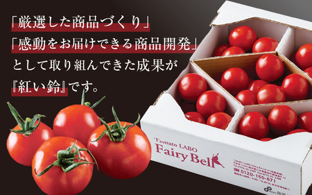 じゅわっと極旨のフルーツミディトマト  (バラ箱詰め) 約2kg（1kg×2箱）幸せ寄附額  とまと トマト フルーツトマト ミディトマト ミニトマト トマトジュース 野菜 やさい 人気 新鮮 産地直